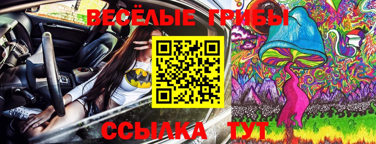 Волгоград  Псилоцибиновые грибы прущие грибы  Вход с VPN 