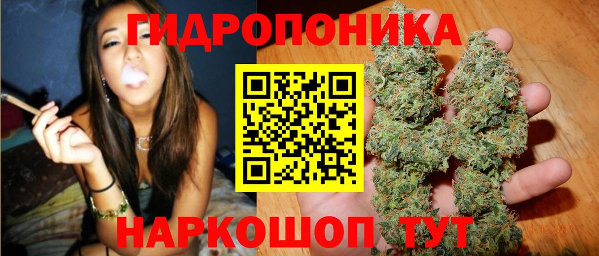 Волгоград  Шишки марихуана OG Kush  Бошки марихуана сатива  Вход с VPN  Бошки марихуана сатива 